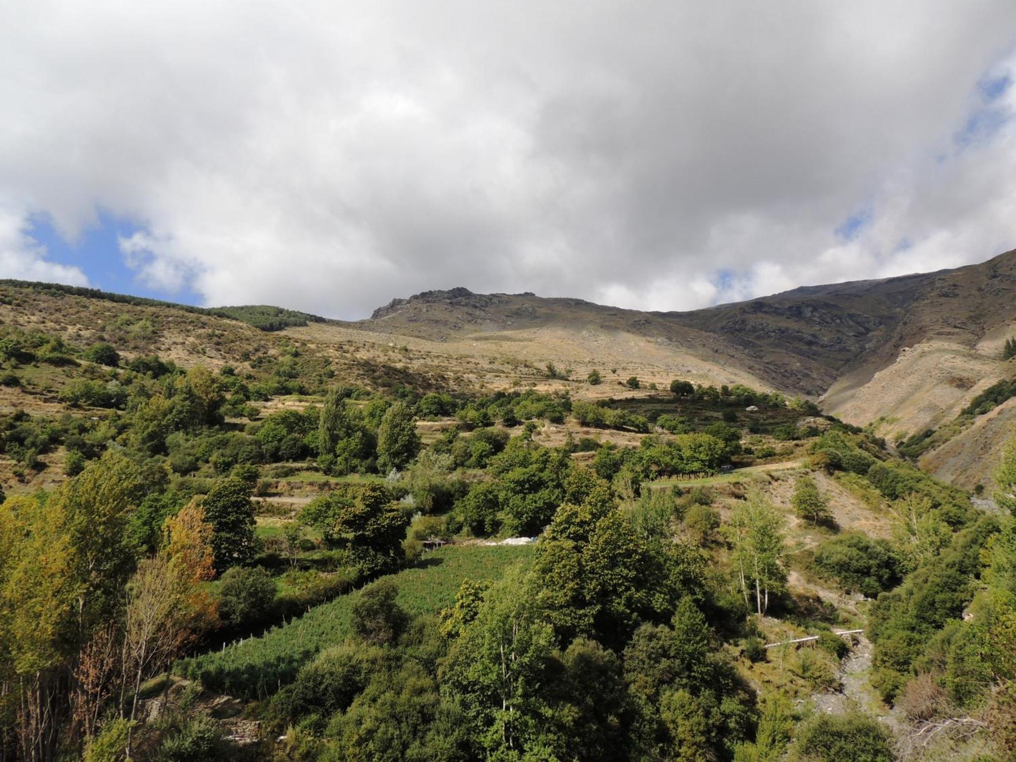 Casa-Huerto La Juana Villa Trevélez Eksteriør billede